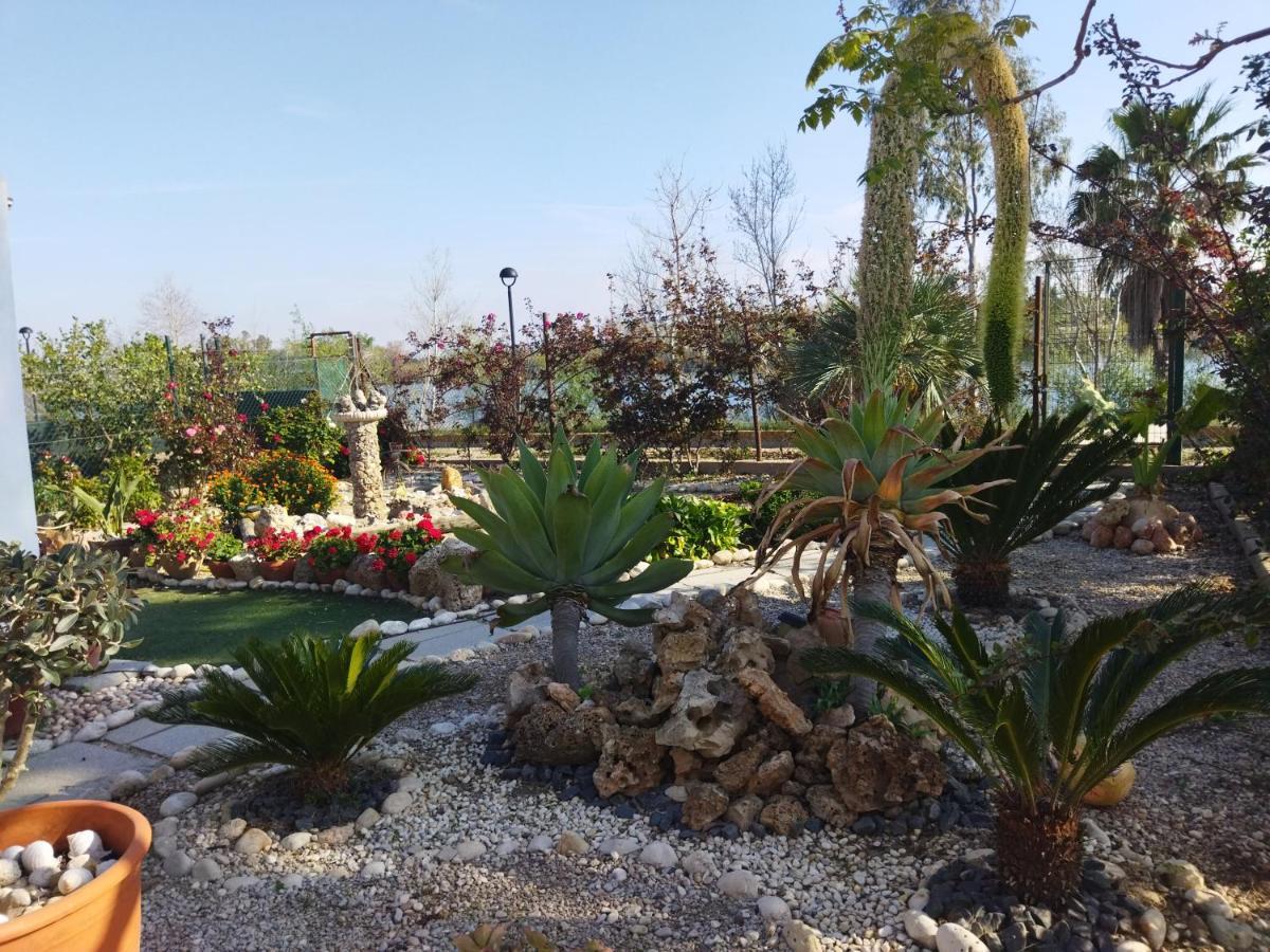 فيلا Casa Joan De L'Illa ديلتيبري المظهر الخارجي الصورة